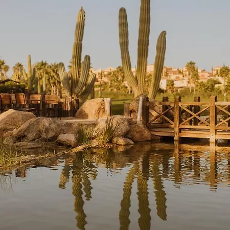 Desert Springs אתר נופש